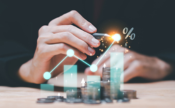 Profit Optimisation